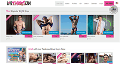 Desktop Screenshot of livetwinkscam.com
